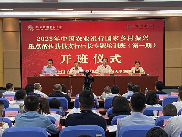 2203b22f2dde4a33956588f3b3cf2611.jpg 11.jpg